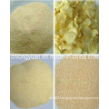 Dried B Grade Garlic Granule with Carton Packing